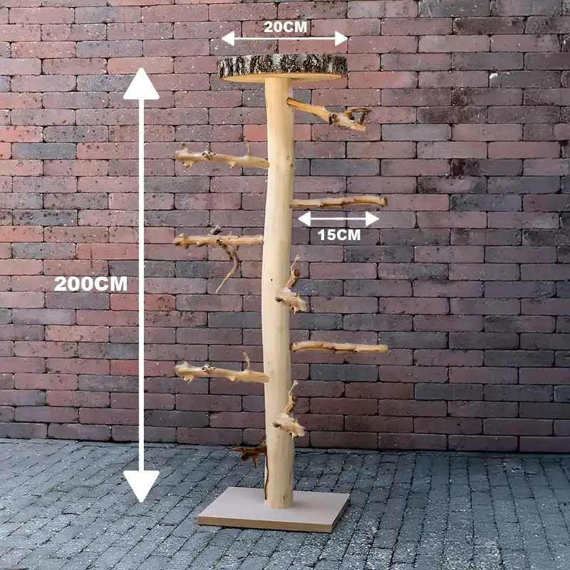 Chica-voederplateau-afmetingen-200cm