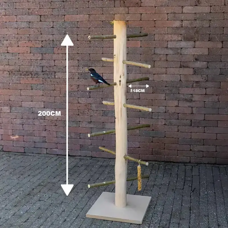 CoCo-voederplateau-afmetingen-200cm - Bewerkt