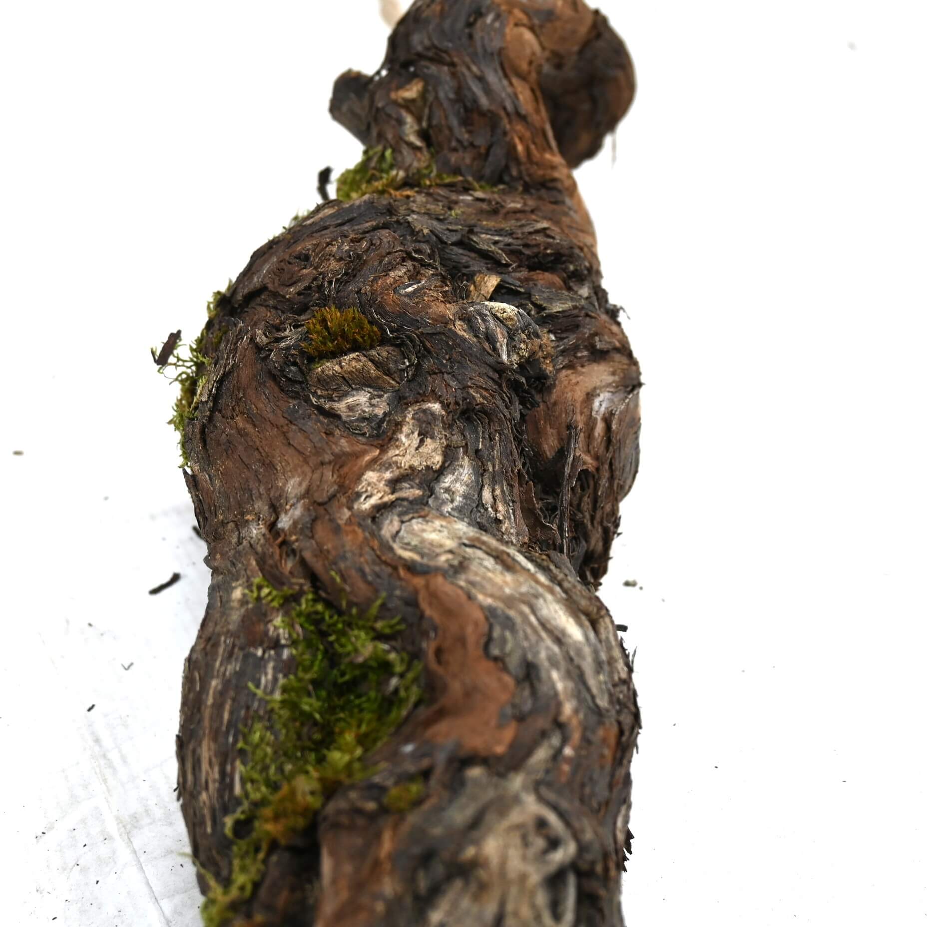 Detail druivenstronken (8)