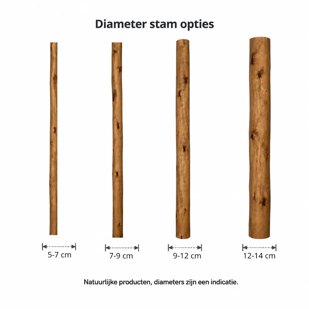 Diameteropties van stammen Oak