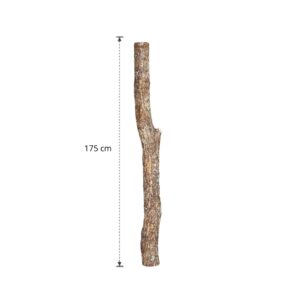 Eikenstam 175 cm (6)