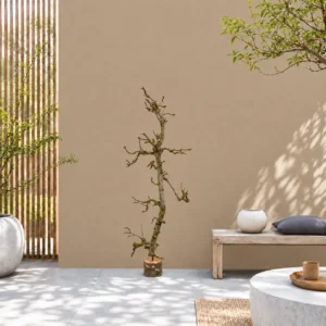 Fruitboom klein naturel 120 cm