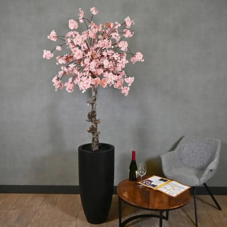 Grote bloesemboom Claire met pot Roze 200cm