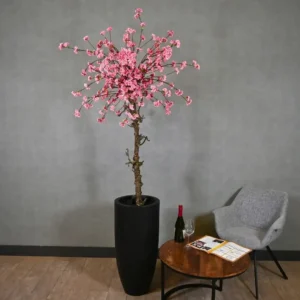 Grote bloesemboom Lyana met pot Felroze 200cm