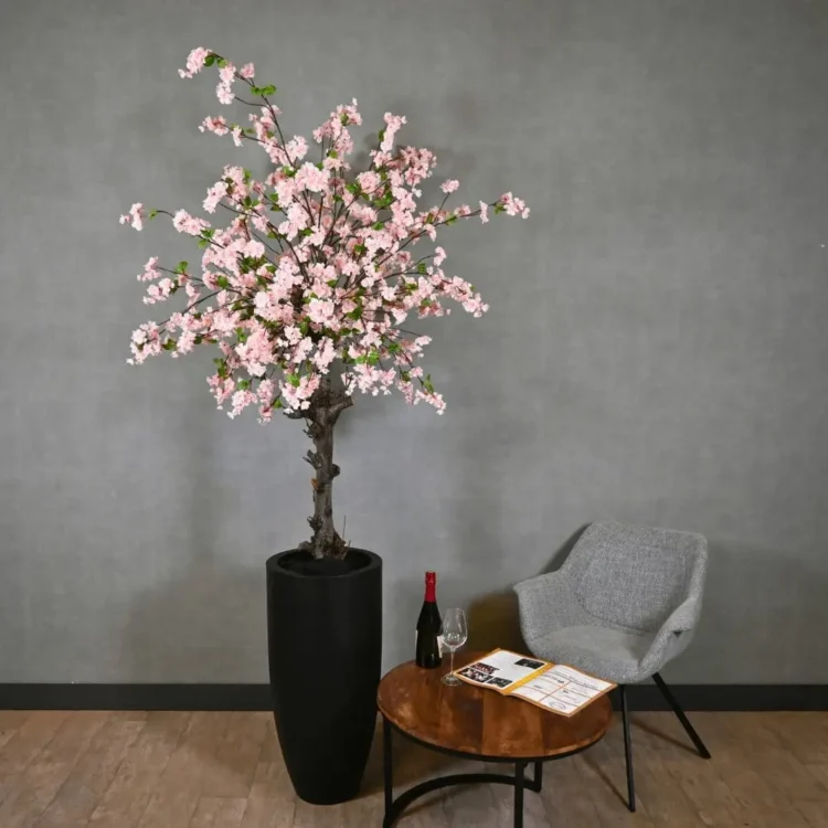 Grote bloesemboom Nikita met pot Roze met groen blaadje 200cm