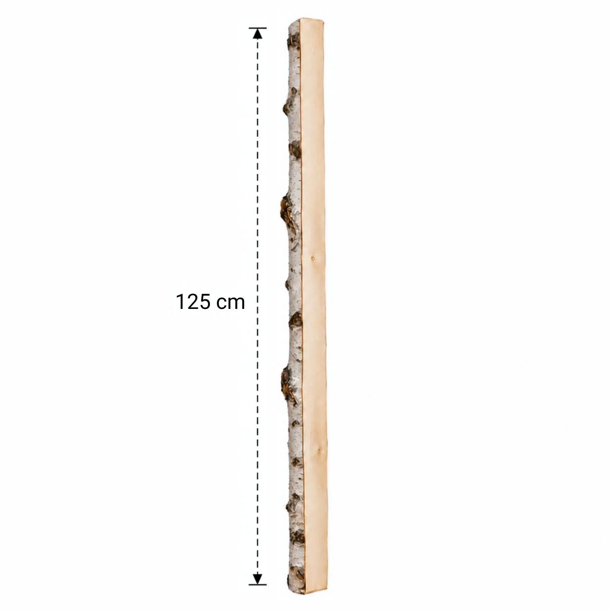 Halve Berkenstam 125 cm