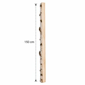 Halve Berkenstam 150 cm