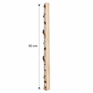 Halve Berkenstam 50 cm