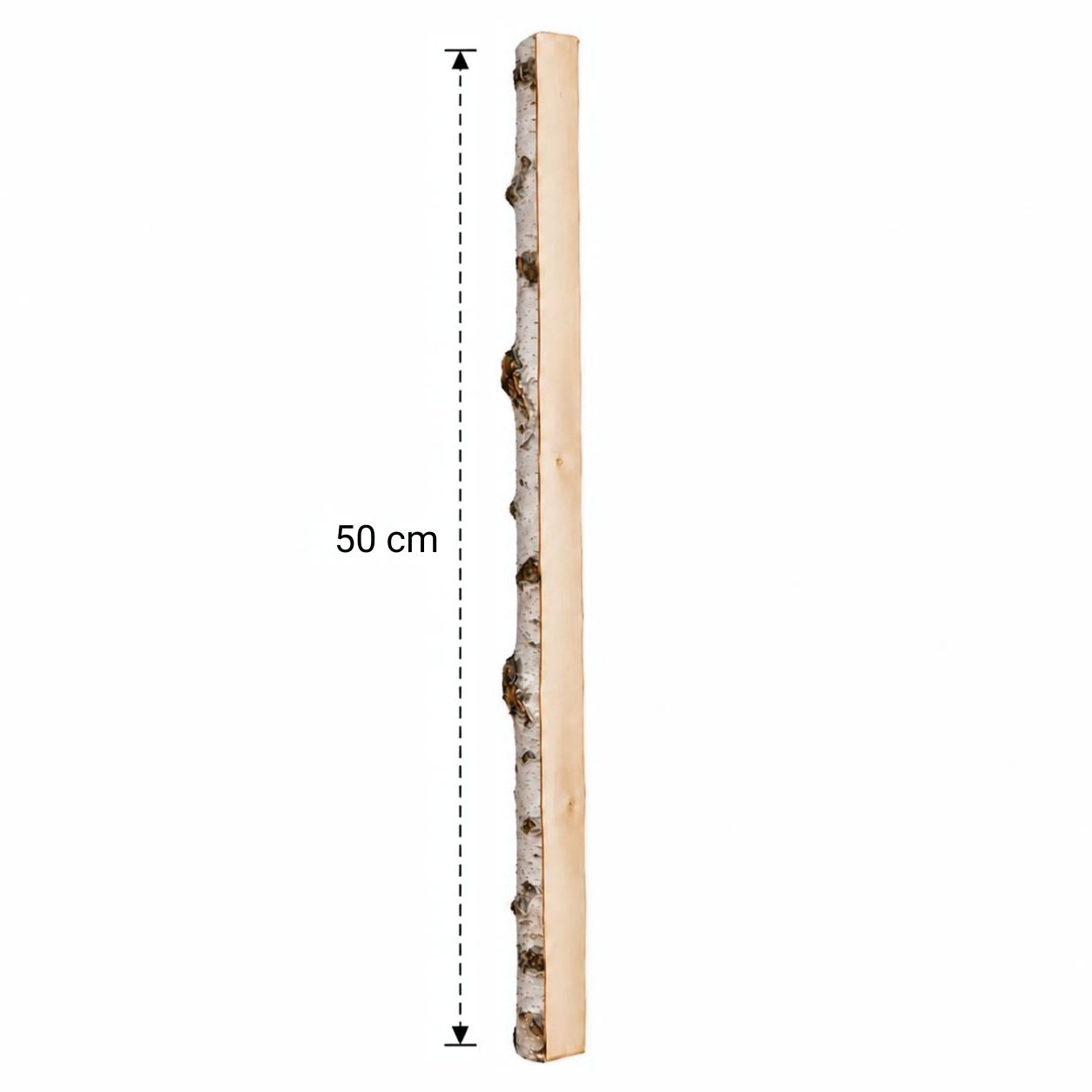Halve Berkenstam 50 cm