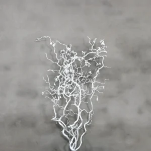 Hazelaartak wit 100 cm