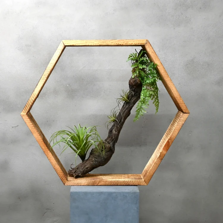 Hexagon Koloniaal Groen (1)