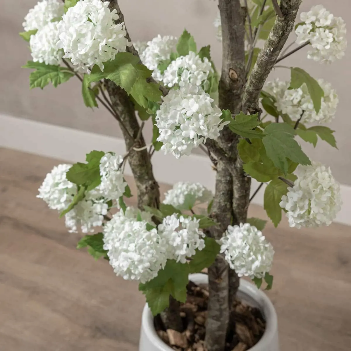 Hortensiaboom Victoria Wit Met pot 150cm (2)