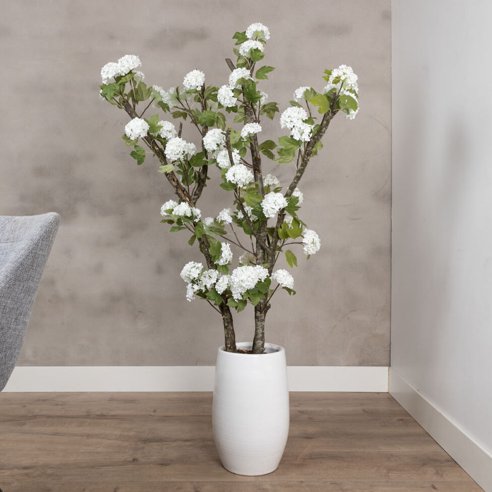 Decoratietakken Knoops