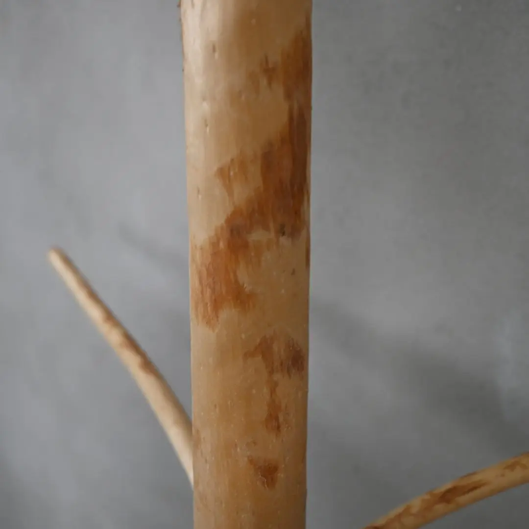 Kapstok boom 4-6cm doorsnee detailfoto (3)