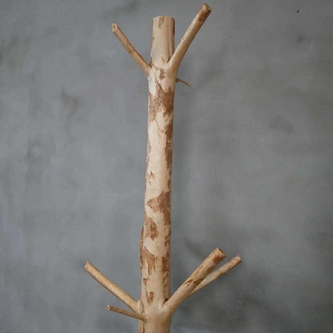 Kapstok boom 6-8cm doorsnee detailfoto (1)