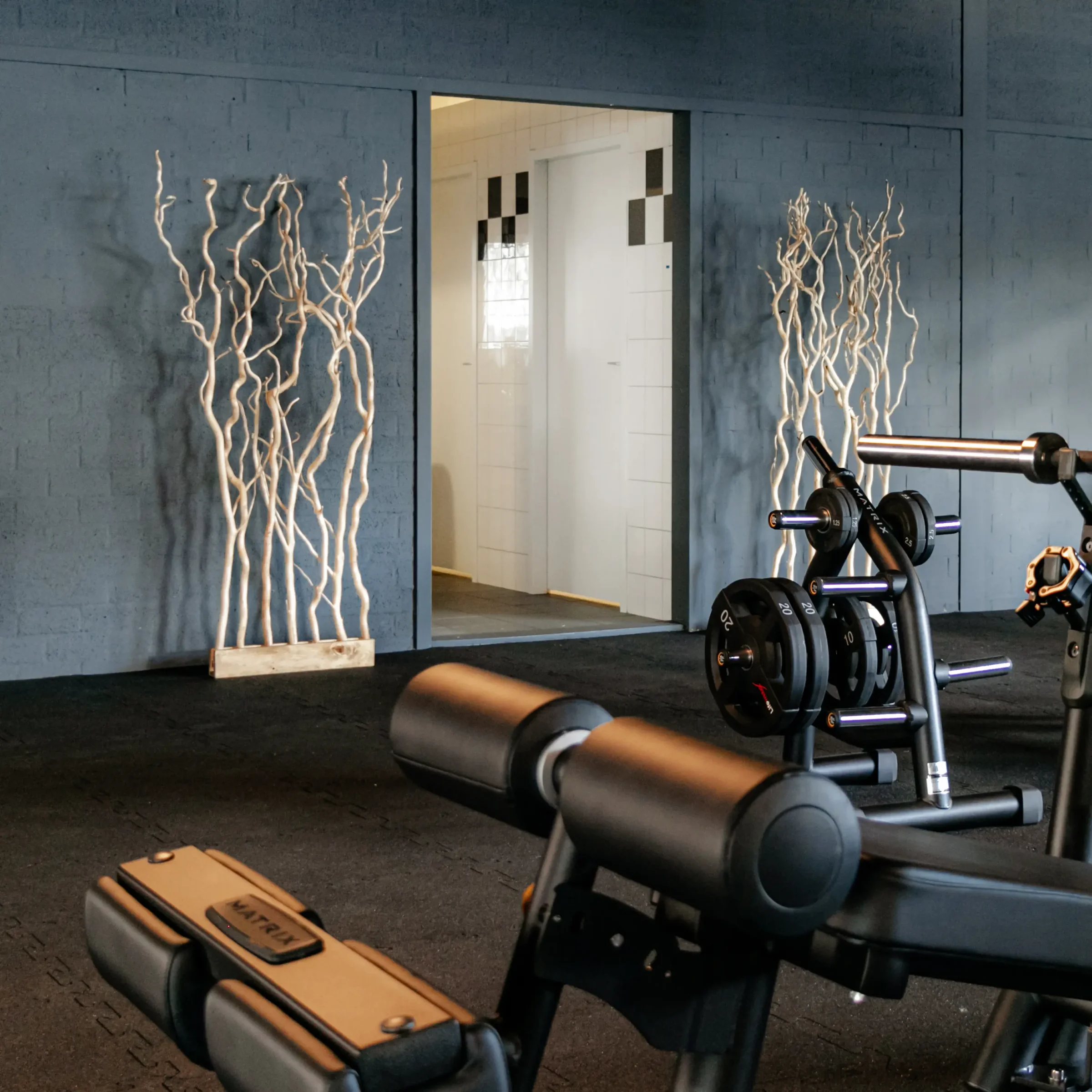 Kronkelwilg Roomdivider Gita Gezandstraald Met naturel voet H165cm, sportschool