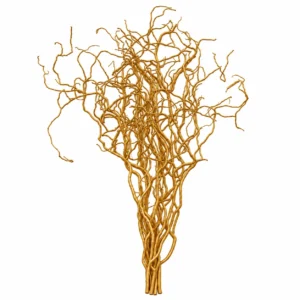 Kronkelwilgentakken goud 120 cm