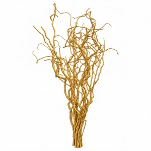 Kronkelwilgentakken goud 70 cm