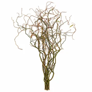 Kronkelwilgentakken naturel 120 cm