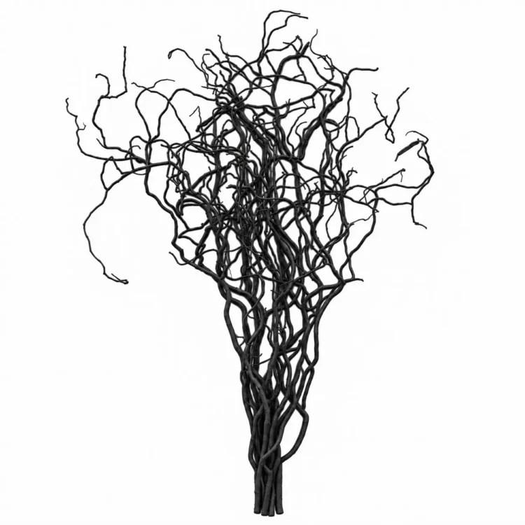 Kronkelwilgentakken zwart 120 cm