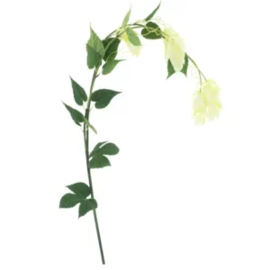 Kunst Hop Flower spray Crème 140cm