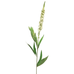 Kunst Veronica Créme 75cm