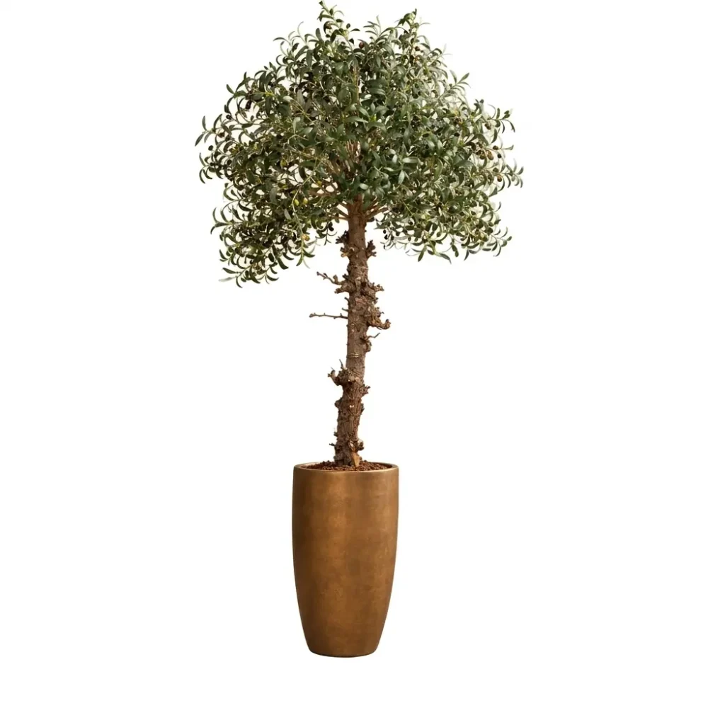 Künstlicher Olivenbaum | 180 cm