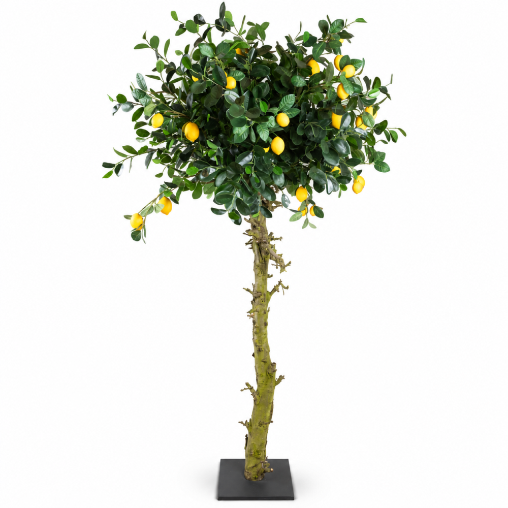 Künstlicher Zitronenbaum | 180 cm