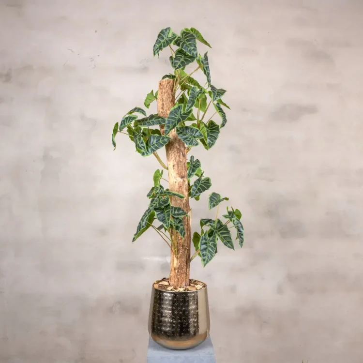 Kunstplant Alocasia 100 cm (1)