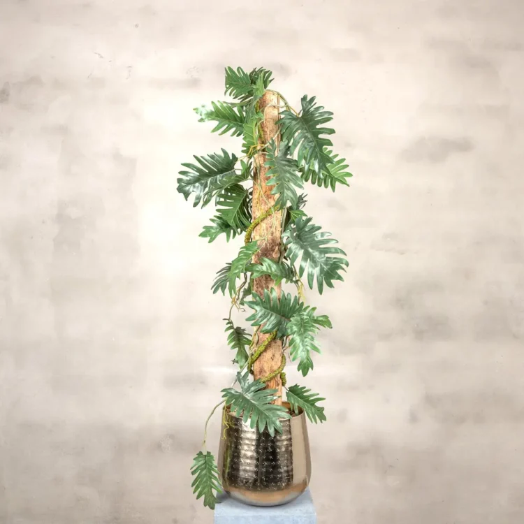 Kunstplant Philodendron