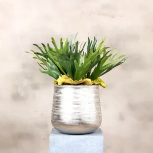 Kunstplant hertshoorn (1)