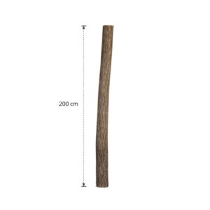 Lindenstam 200 cm (7)