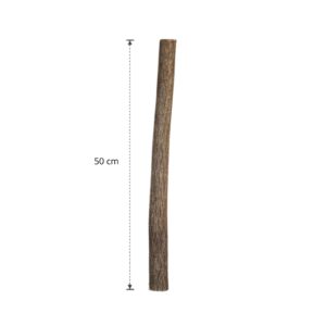 Lindenstam 50 cm (1)