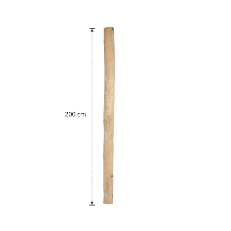Ontschorste stam 200 cm (7)