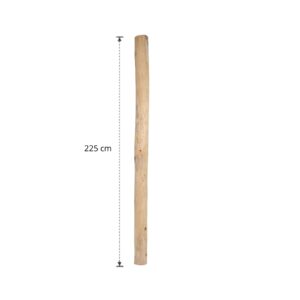 Ontschorste stam 225 cm (8)