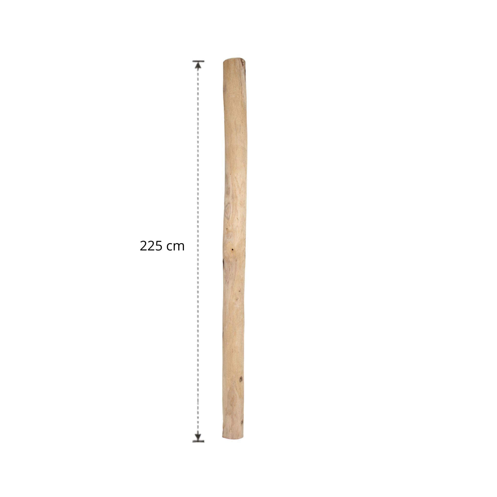 Ontschorste stam 225 cm (8)