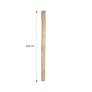 Ontschorste stam 250 cm (9)
