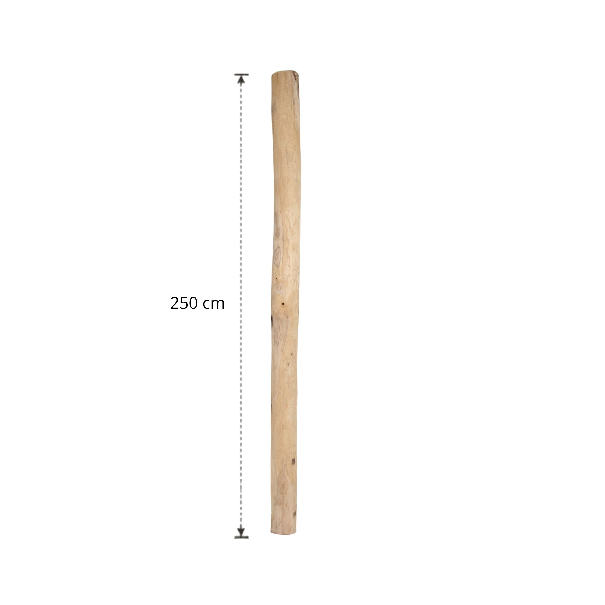 Ontschorste stam 250 cm (9)