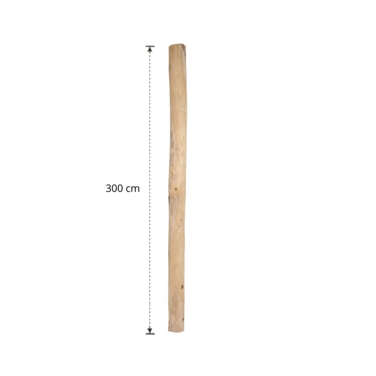 Ontschorste stam 300 cm (11)