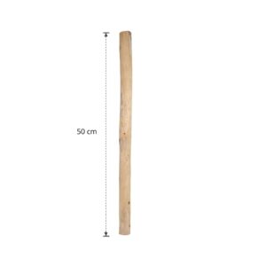 Ontschorste stam 50 cm (1)