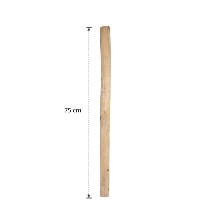 Ontschorste stam 75 cm (2)