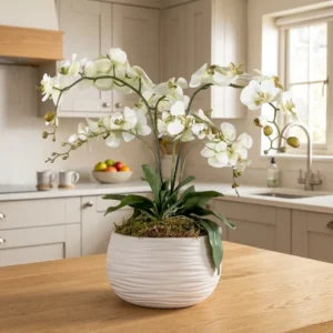 Orchidee bloemstuk Isabella