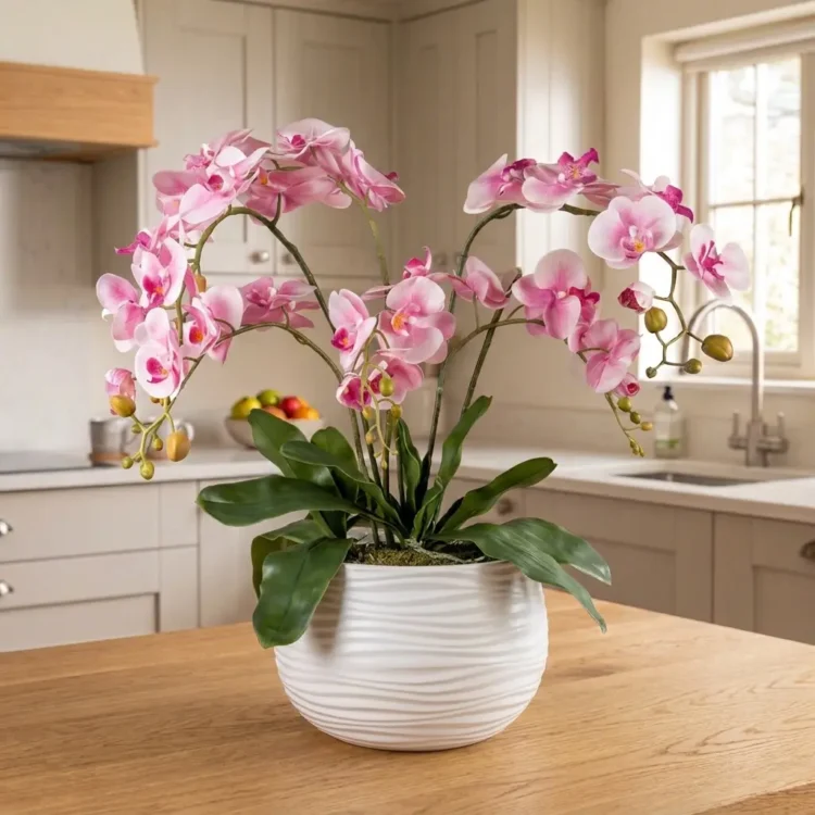 Orchidee bloemstuk Shirley