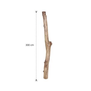 Oud eikenstam 300 cm (11)