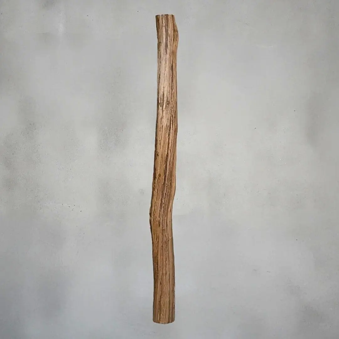 Oud eikenstammen (2)