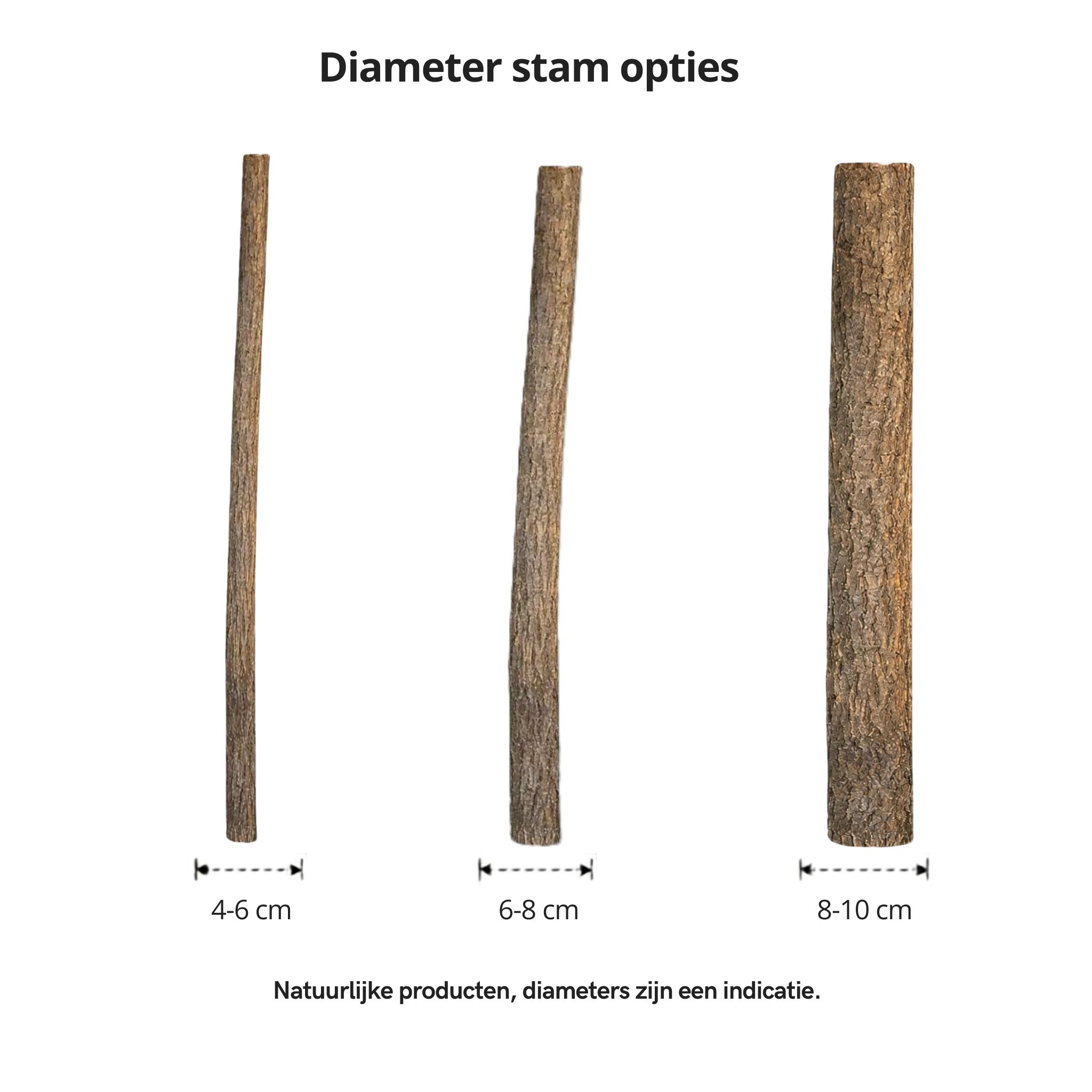 Overzicht lindenstam diameters
