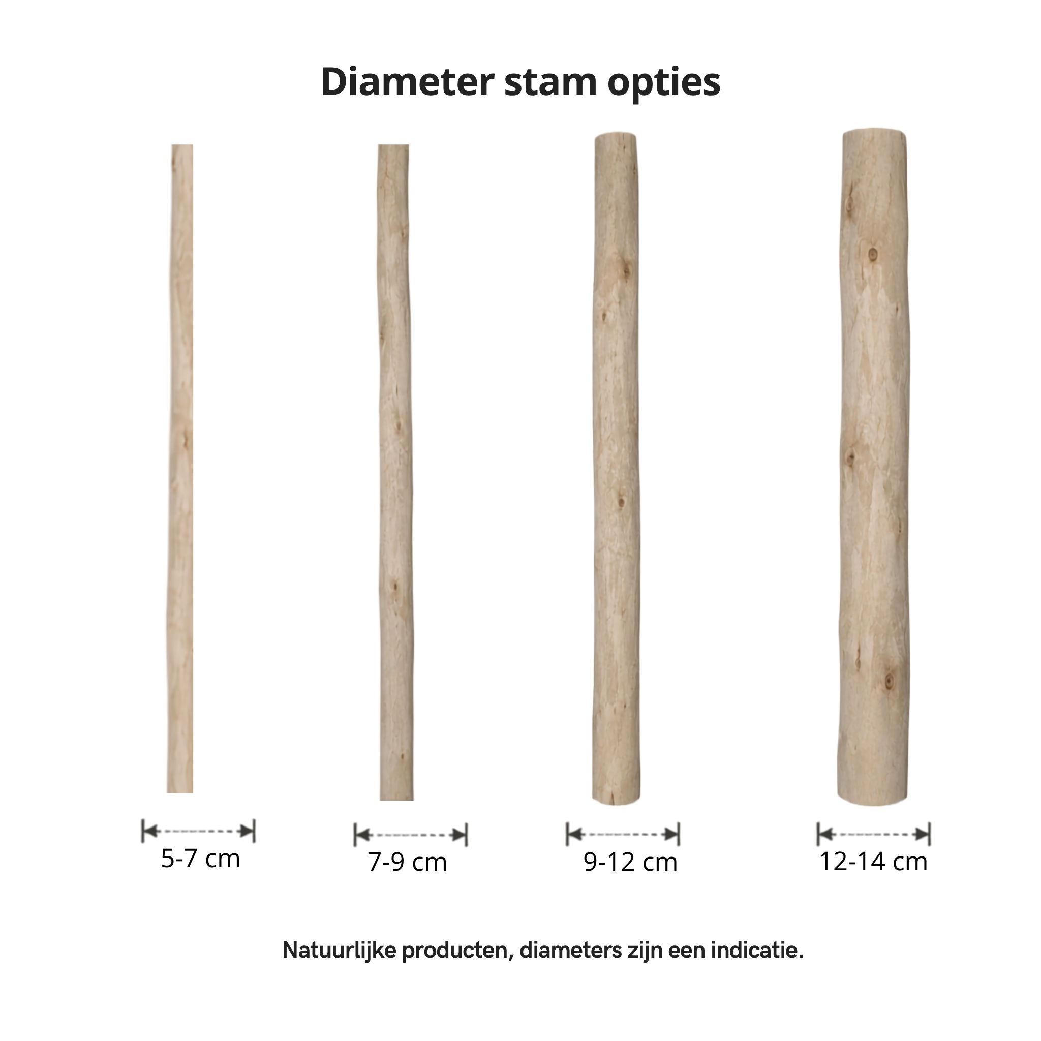 Overzicht ontschorste stammen diameters