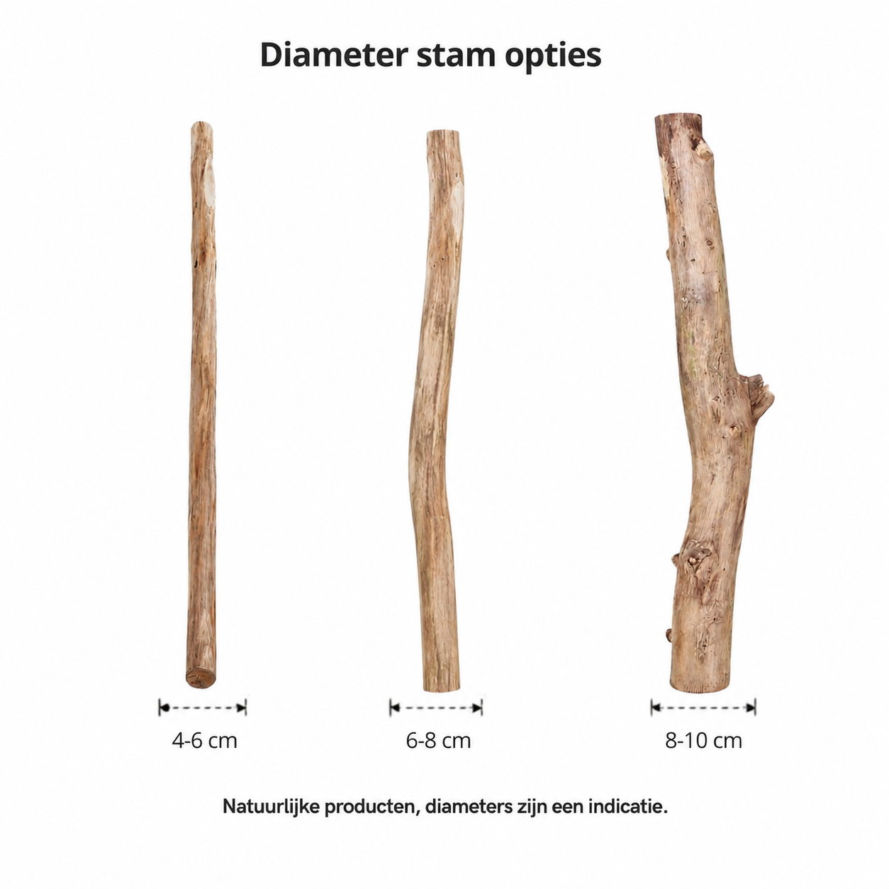 Overzicht oud eikenstammen diameters