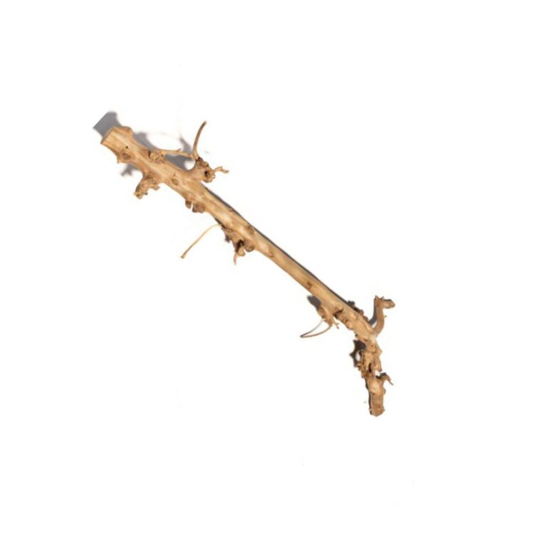 Perentak ontschorst 120 cm