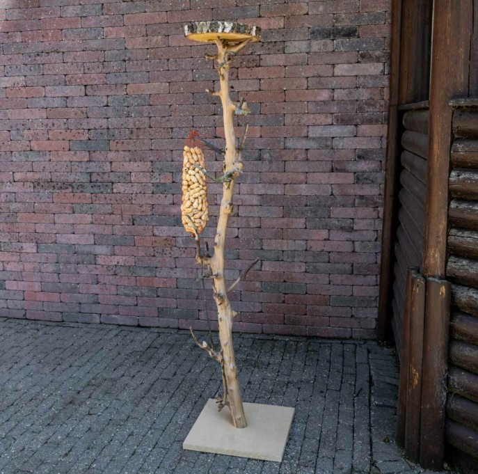 Schermafbeelding 2023-01-05 123738